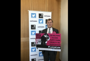 Lucy's Law Reception